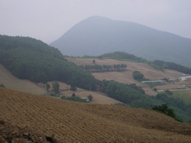 ��ſ� �ð� �Ǽ���