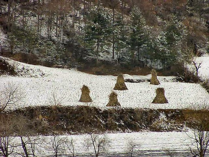 ��ſ� �ð� �Ǽ���