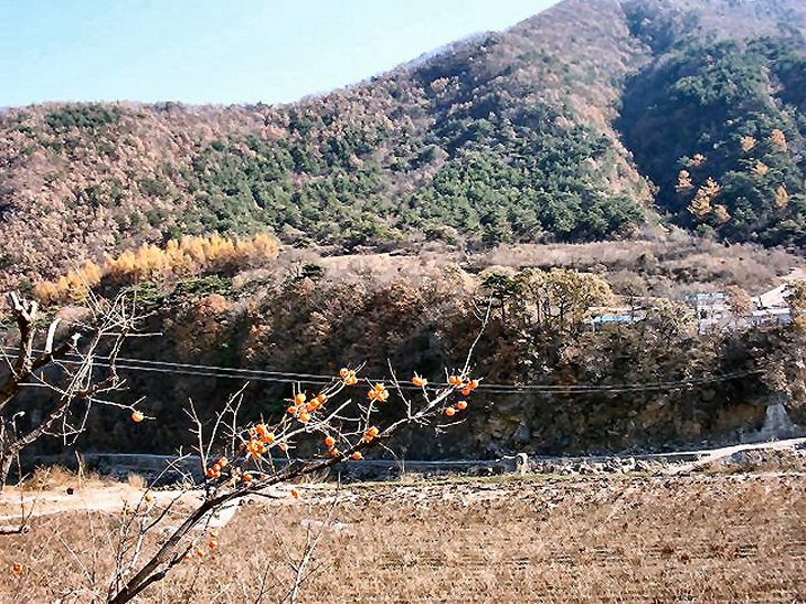 ��ſ� �ð� �Ǽ���