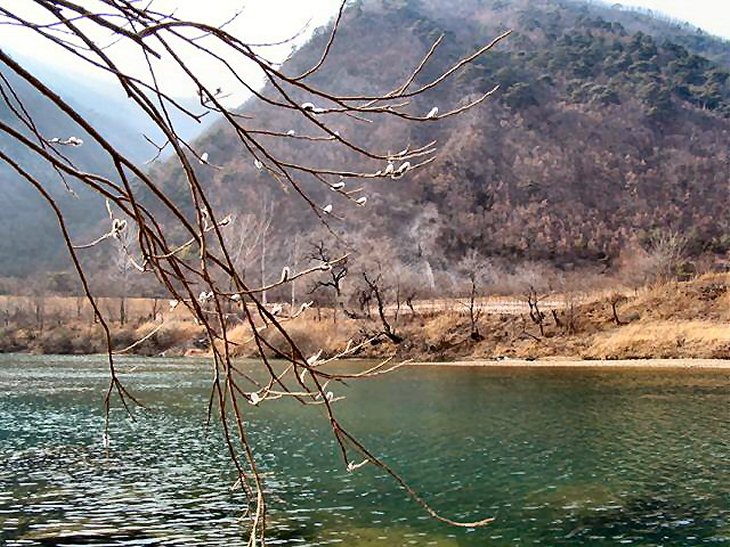 ��ſ� �ð� �Ǽ���