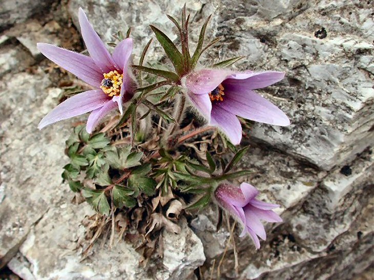 ��ſ� �ð� �Ǽ���