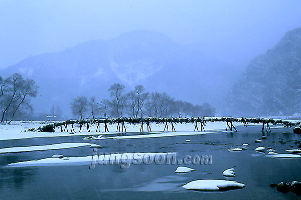 ��ſ� �ð� �Ǽ���