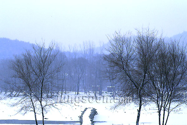 ��ſ� �ð� �Ǽ���