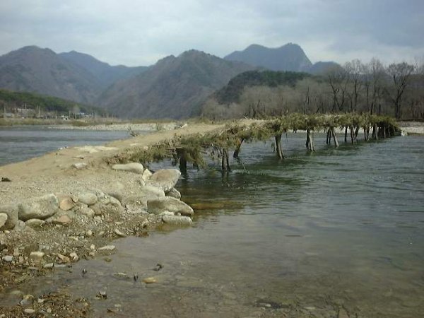 ��ſ� �ð� �Ǽ���