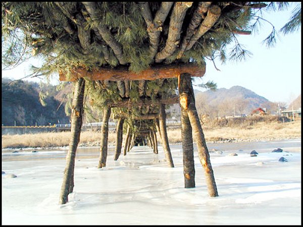 ��ſ� �ð� �Ǽ���