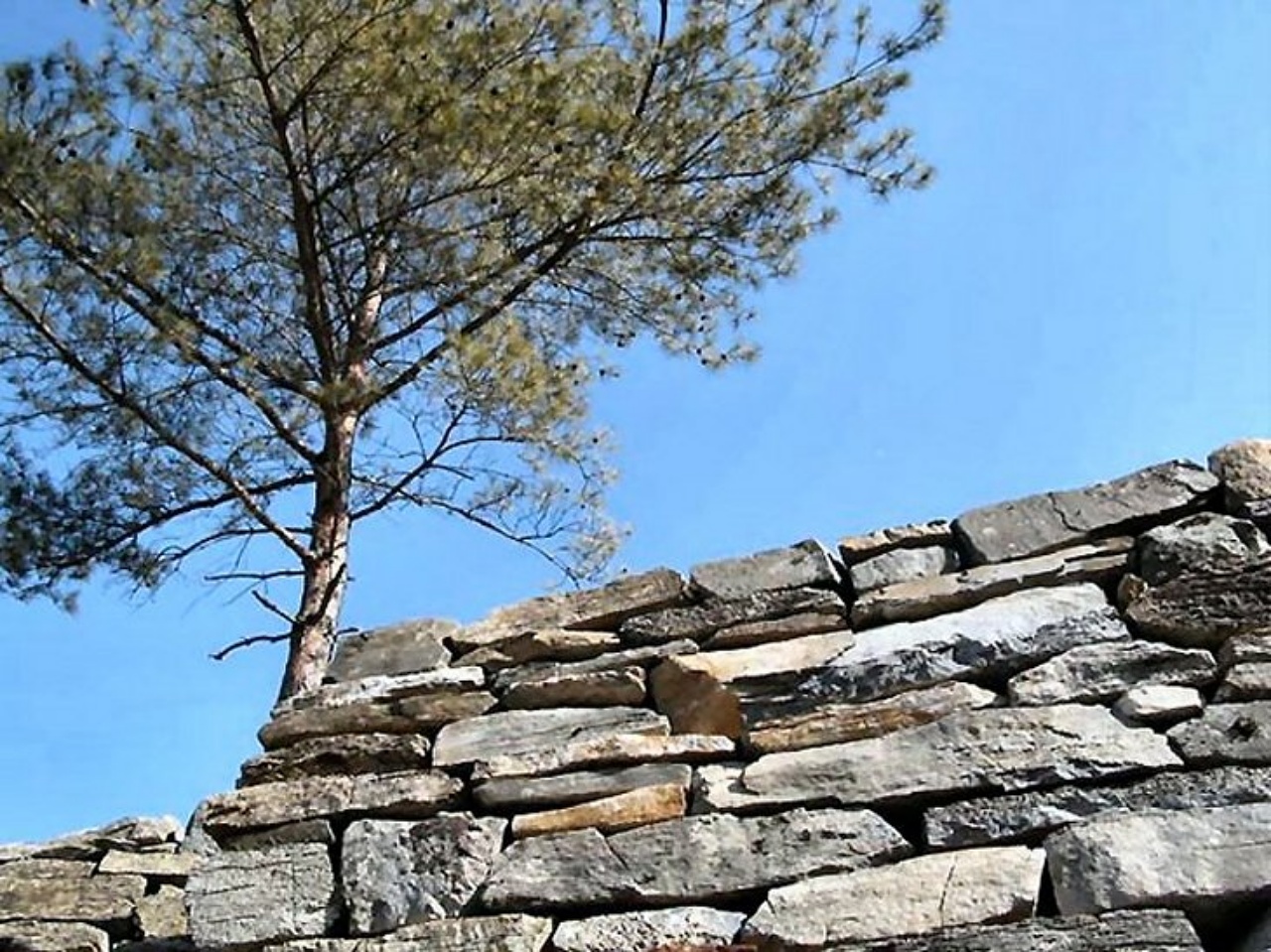 ��ſ� �ð� �Ǽ���