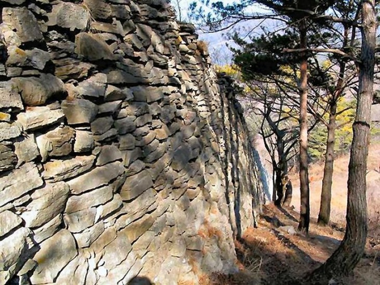 ��ſ� �ð� �Ǽ���