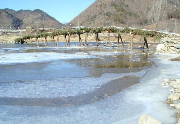 ��ſ� �ð� �Ǽ���