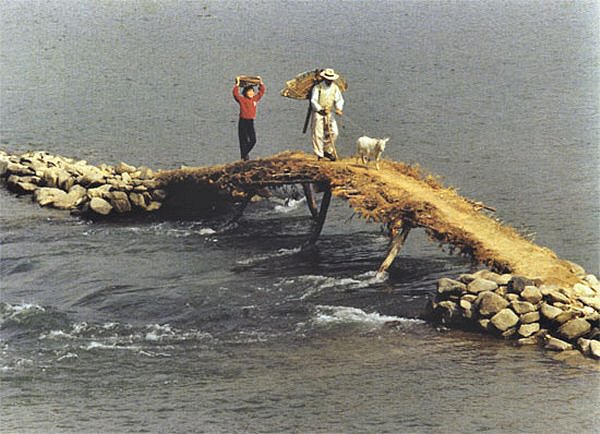 ��ſ� �ð� �Ǽ���