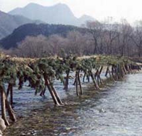 ��ſ� �ð� �Ǽ���