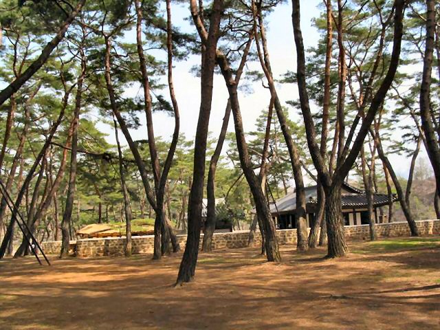 ��ſ� �ð� �Ǽ���