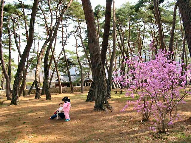 ��ſ� �ð� �Ǽ���