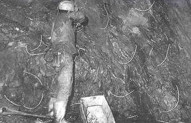 ��ſ� �ð� �Ǽ���