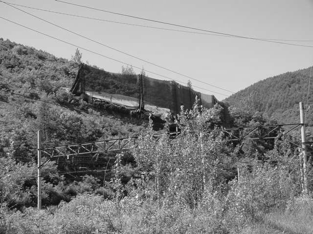 ��ſ� �ð� �Ǽ���