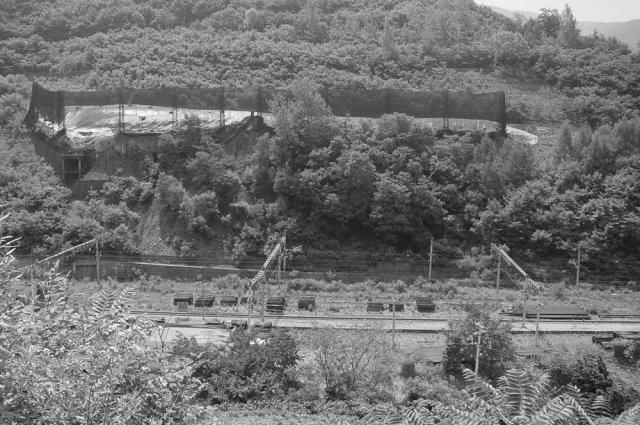 ��ſ� �ð� �Ǽ���