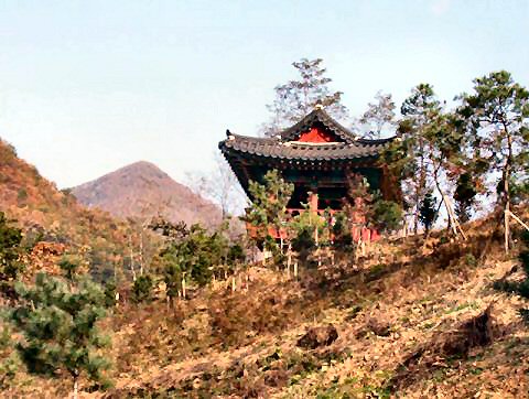 ��ſ� �ð� �Ǽ���