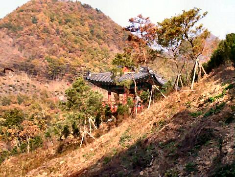 ��ſ� �ð� �Ǽ���