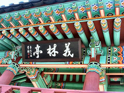 ��ſ� �ð� �Ǽ���