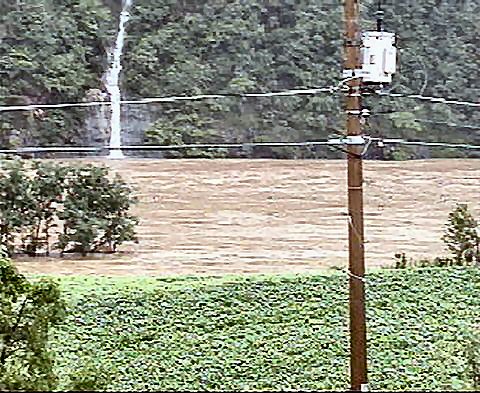 ��ſ� �ð� �Ǽ���