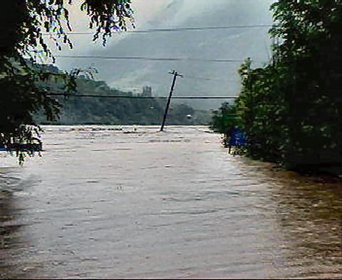 ��ſ� �ð� �Ǽ���