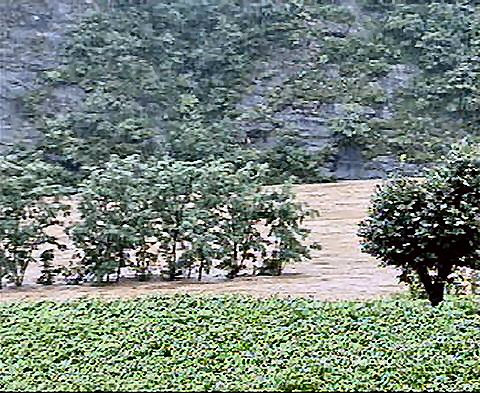 ��ſ� �ð� �Ǽ���